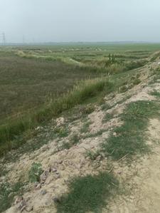 Image of 2700 Sq.ft Residential Plot / Land for sale in Basdeopur, Darbhanga for Rs. 3300000