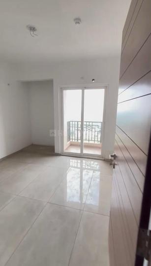 ACE Divino Main Image 1