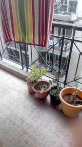 RWA jatin residency New srs flats Balcony 1