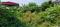 Garhi Cantt Main Image 1