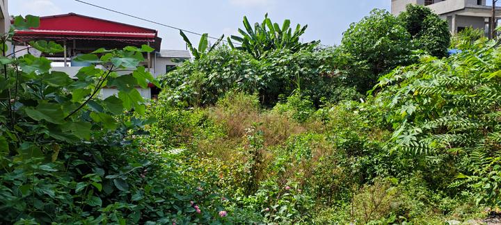 Garhi Cantt Main Image 1