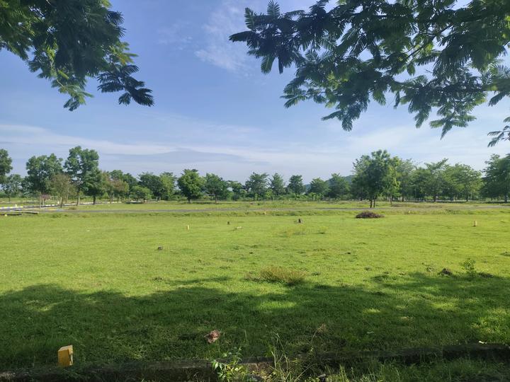 Fortune Main Image 1