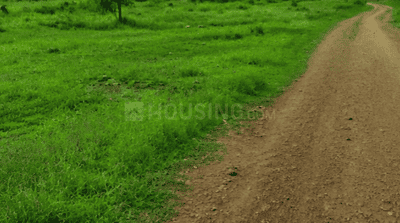 Sundarpada Plot View 2