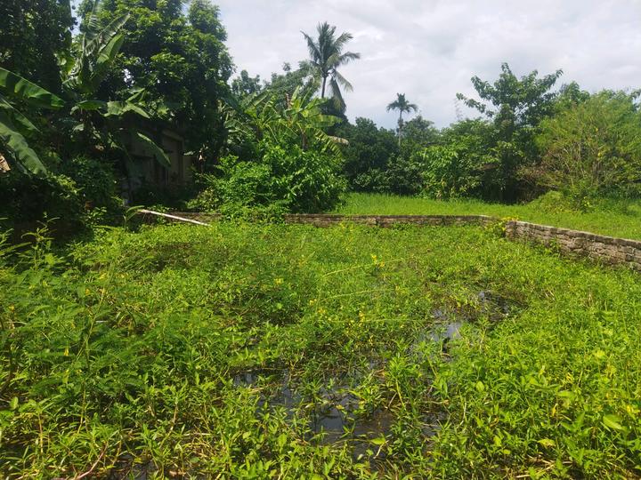 Joka Abasan Main Image 1