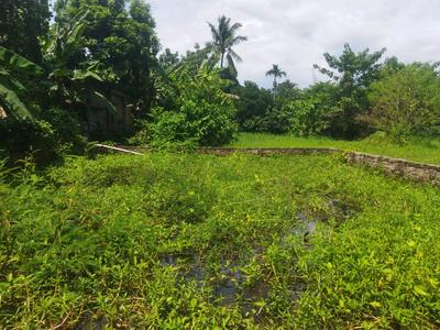 Residential Plot