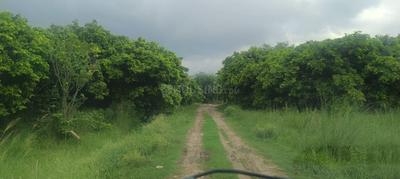 DLF Garden City Plot View 2