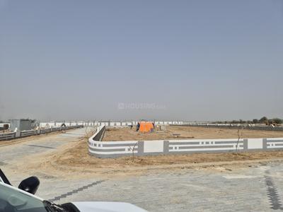 Vrb amber phase 1 Plot View 1