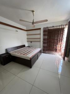 Bedroom Image of 1560 Sq.ft 2 BHK Apartment / Flat for rent in Navrangpura Ahmedabad for Rs. 37000