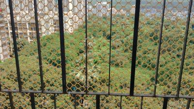 Balcony Image of 850 Sq.ft 2 BHK Apartment / Flat for sale in Godrej Tranquil, Kandivali East Mumbai for Rs. 18000000