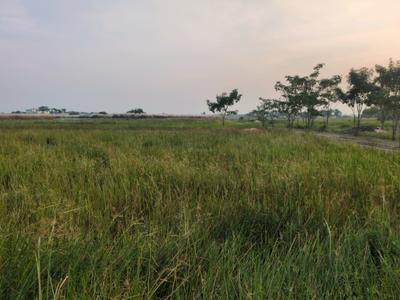 Image of 1440 Sq.ft Residential Plot / Land for sale in Raspunja Township, Joka, Kolkata for Rs. 555555