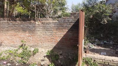 Jhusi Plot View 1