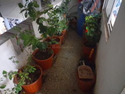 Balcony Image of 550 Sq.ft 1 BHK Apartment / Flat for rent in Suncity Apartment, Anand Nagar, Sinhagad Road Pune for Rs. 11000