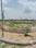 Southern Avenue Main Image 1