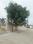 Krishnayan Vrindavan Prime Extention Main Image 1
