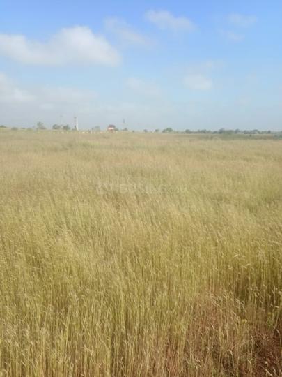 Zaheerabad Main Image 1