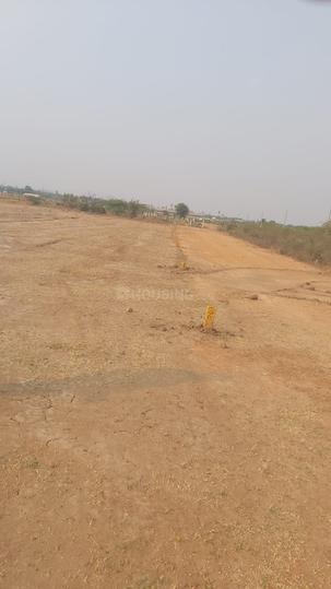 ROYAL RAJPUTANA CO Main Image 1