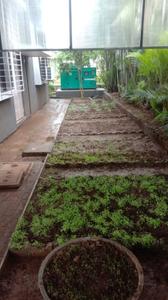 Image of 11000 Sq.ft 4 BHK Villa for sale in Ghotawade, Pune for Rs. 32500000
