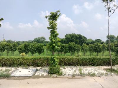 Image of 119 Sq.ft Residential Plot / Land for sale in Amolik Aster Woods, Sector 98, Faridabad for Rs. 18800000