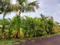 Image of 10764 Sq.ft Residential Plot / Land for sale in Trimbak, Nashik for Rs. 1650000