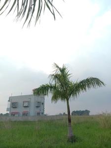 Image of 720 Sq.ft Residential Plot / Land for sale in Fresco Fountain City Plots, Sankharipota, Raypur for Rs. 450000