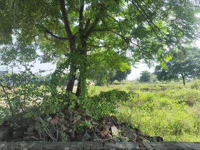 Image of 540 Sq.ft Residential Plot / Land for sale in Bhanauta, Greater Noida for Rs. 2113200
