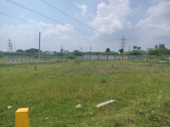 Amber County Main Image 1