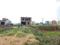 Hanspal Plot View 3