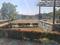 Dishaa Forest Main Image 1