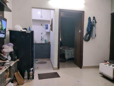 1 BHK Flat