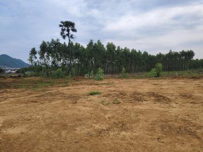Image of 200 Sq.ft Residential Plot / Land for sale in Mamidilova, Visakhapatnam for Rs. 5399800