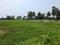 BHASA ECO VILLEGE Main Image 1