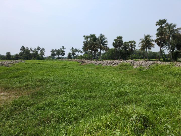 BHASA ECO VILLEGE Main Image 1
