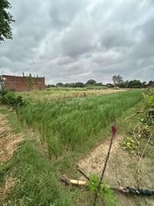 Agricultural Land
