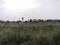 Sector 77 Plot View 2