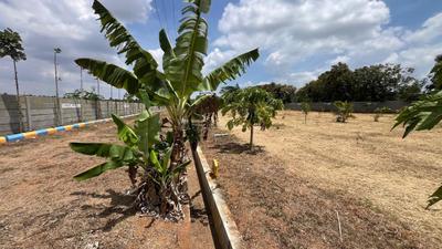 Image of 6000 Sq.ft Residential Plot / Land for sale in Hunsur, Mysore for Rs. 3600000