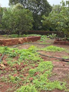 Image of 24976 Sq.ft Residential Plot / Land for sale in Niwali, Ratnagiri for Rs. 9000000