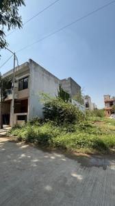 Plot View
