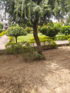 Image of 1250 Sq.ft 2 BHK Builder Floor for rent in Gomti Nagar, Lucknow for Rs. 17500