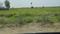 Phulwari Sharif Plot View 2
