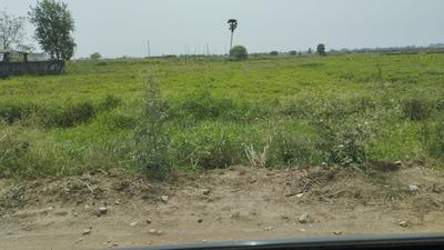 Phulwari Sharif Plot View 2