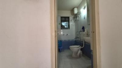 Sanjeevani Sadafulee Bathroom Two 4