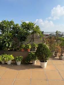 Balcony Image of 2799 Sq.ft 4 BHK Builder Floor for rent in Property Gallery Floors, Panchsheel Park New Delhi for Rs. 275000
