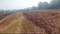 Hatia Plot View 2