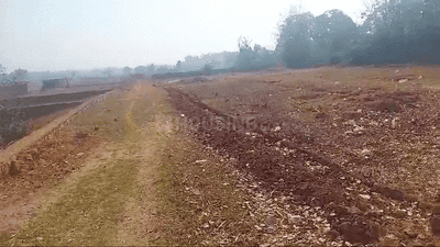 Hatia Plot View 2
