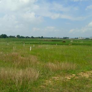 Image of 1000 Sq.ft Residential Plot / Land for sale in Kanke, Ranchi for Rs. 1500000