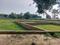 Harhua Main Image 1