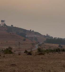 Image of 8000 Sq.ft Residential Plot / Land for sale in Pmpri Trimbak, Nashik for Rs. 15000000
