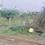 Ganesh Nagar, GN Mills Plot View 2