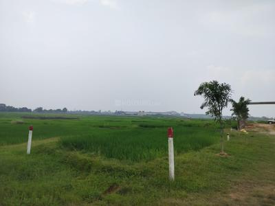 Image of 1000 Sq.ft Residential Plot / Land for sale in Arsande, Ranchi for Rs. 1500000