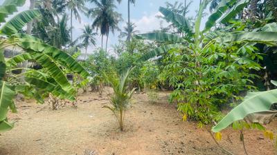 Image of 7405 Sq.ft Residential Plot / Land for sale in Chiyyaram, Thrissur for Rs. 12750000